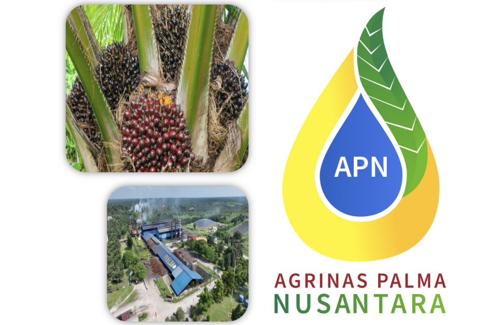 Agrinas Palma Reaktivasi Pabrik Biodiesel di Riau, Biayanya Disebut Murah